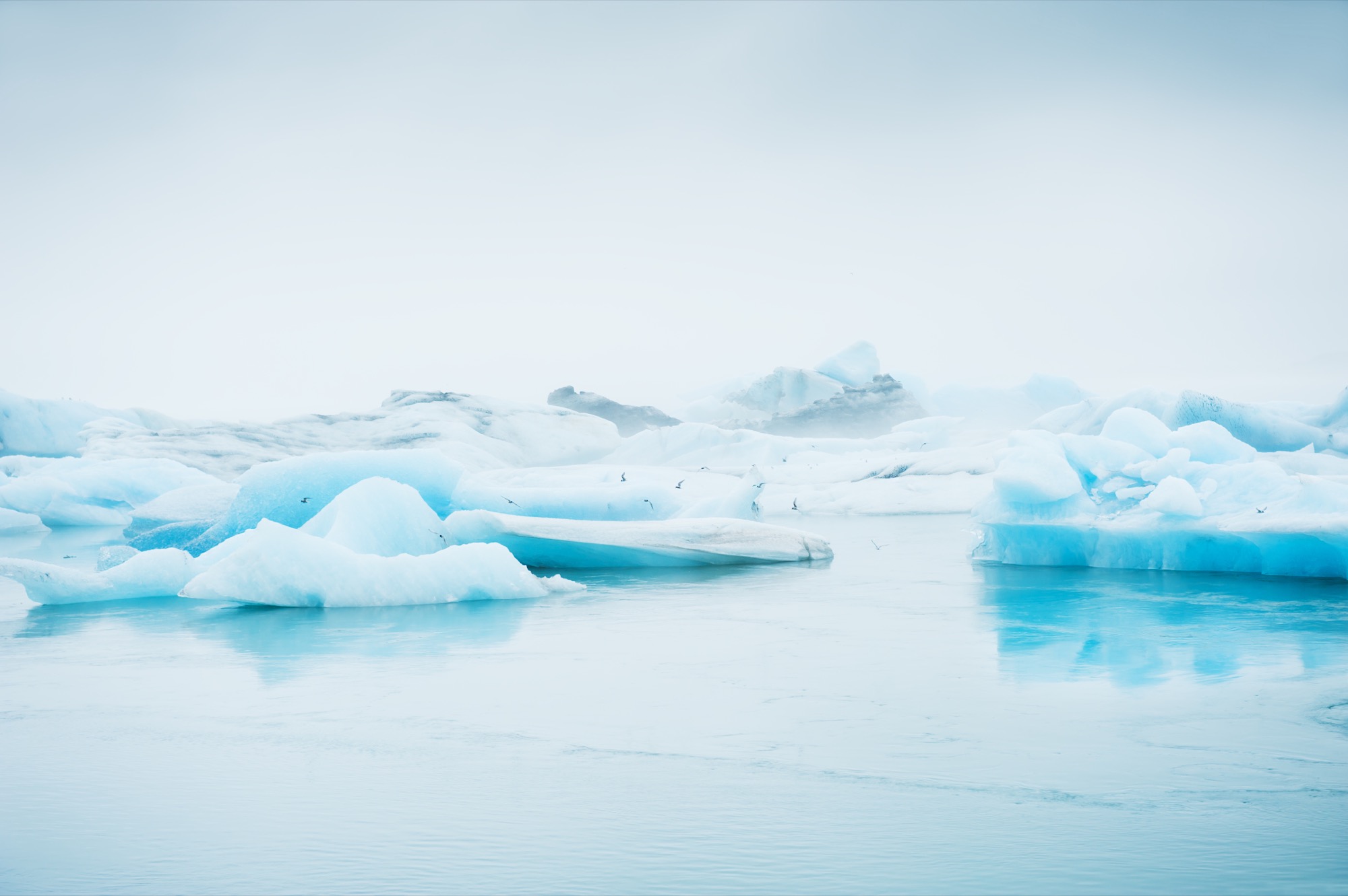Pale blue icebergs floating in a glacial lagoon with a glacier behind.