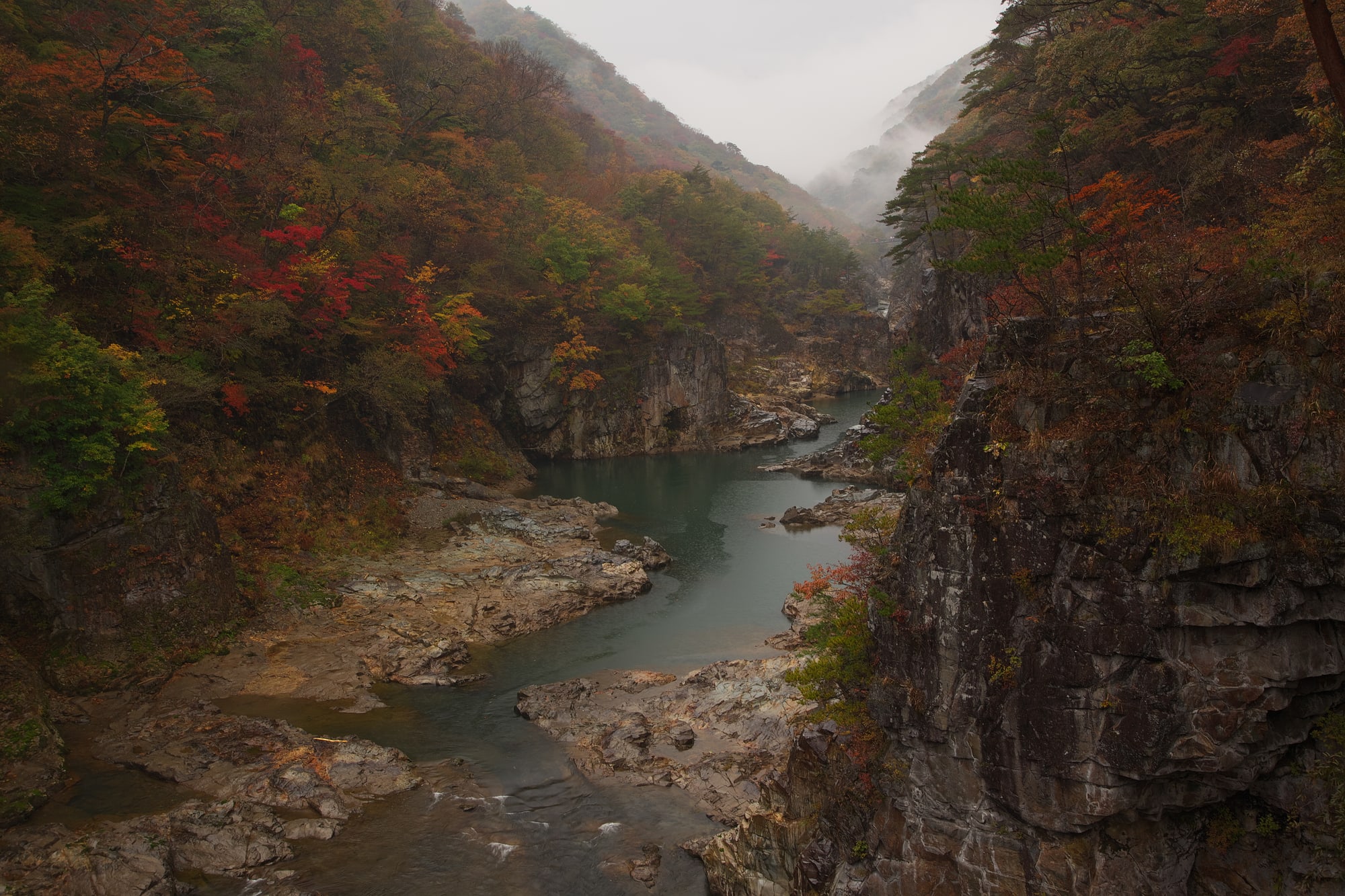 A river winding through a steep rocky gorge in rain and low cloud, with trees clinging to the cliffs on either side.