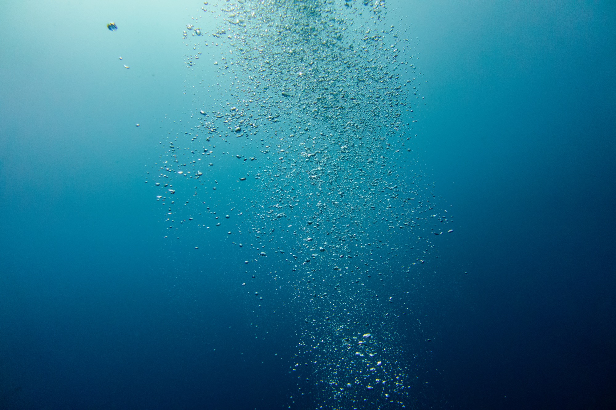 Rays of sunlight and rising bubbles seen from under the surface of the sea.