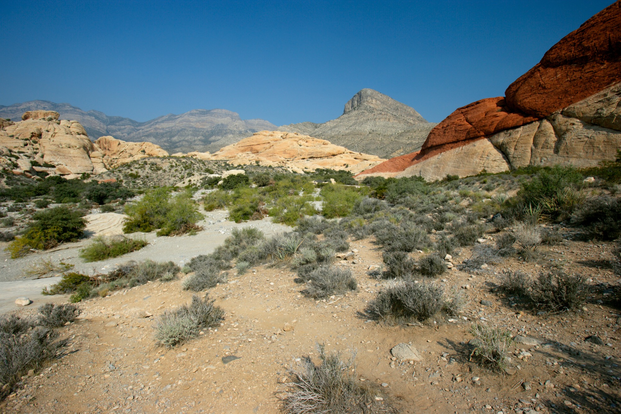 Red and cream sandstone cliffs at Red Rock Canyon near Las Vegas, with desert scrub in front.