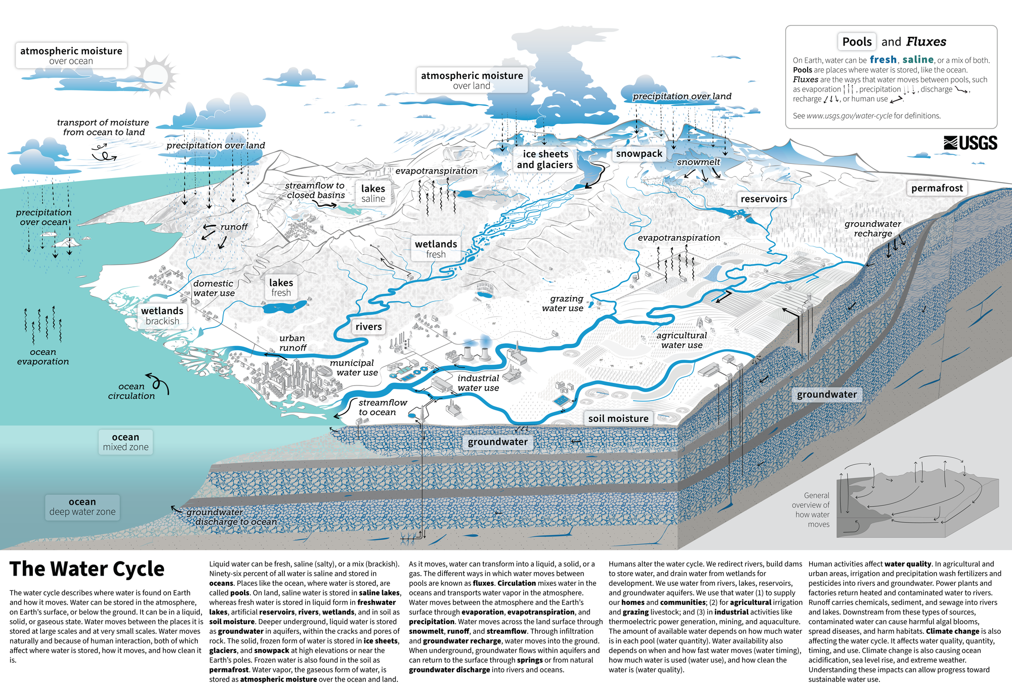 A labelled diagram of the global water cycle, showing evaporation from oceans, clouds and precipitation, rivers running to the sea, groundwater below the surface, and the ways people take and return water.